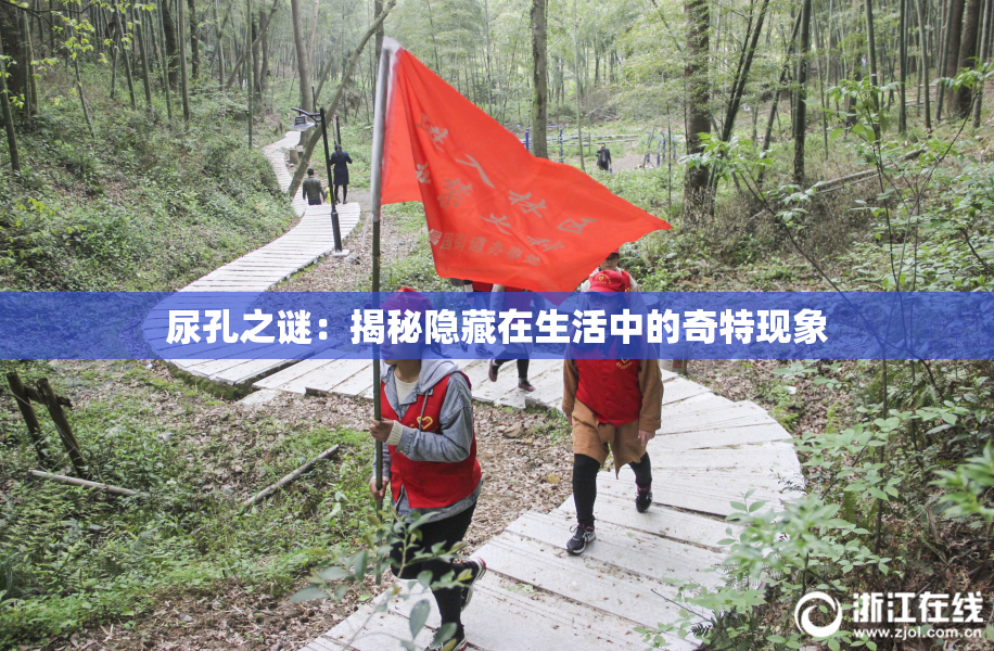 尿孔之谜：揭秘隐藏在生活中的奇特现象