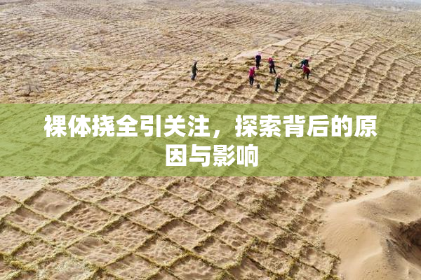 裸体挠全引关注，探索背后的原因与影响