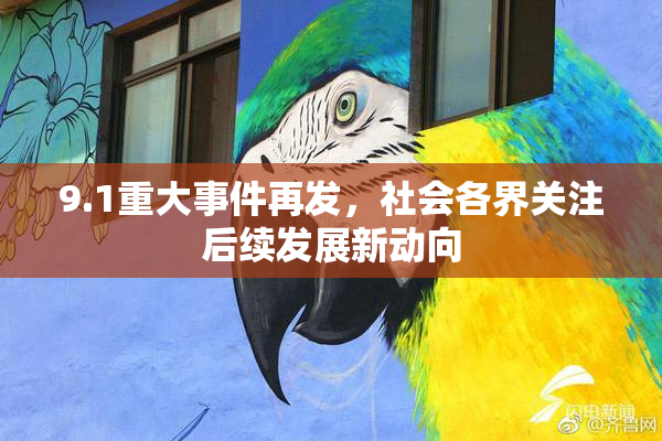 9.1重大事件再发，社会各界关注后续发展新动向