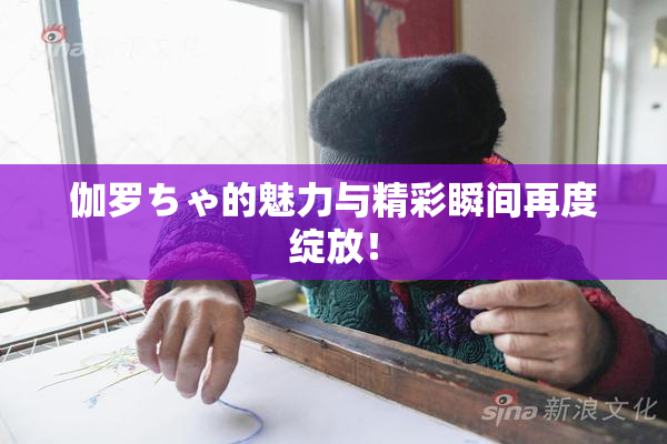 伽罗ちゃ的魅力与精彩瞬间再度绽放！