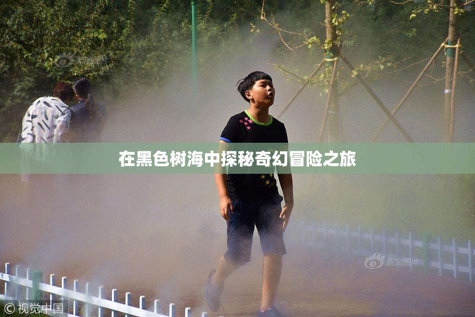 在黑色树海中探秘奇幻冒险之旅
