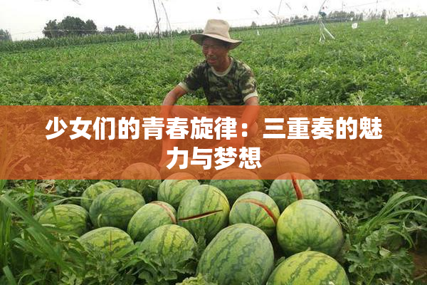 少女们的青春旋律：三重奏的魅力与梦想