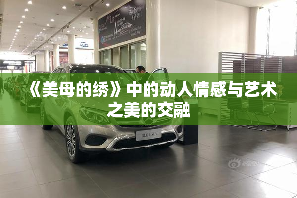 《美母的绣》中的动人情感与艺术之美的交融