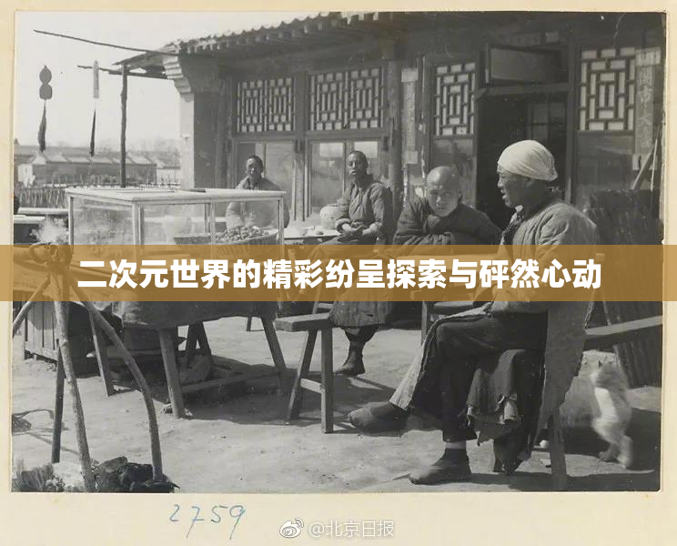 二次元世界的精彩纷呈探索与砰然心动