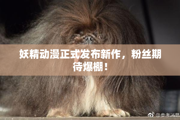 妖精动漫正式发布新作，粉丝期待爆棚！
