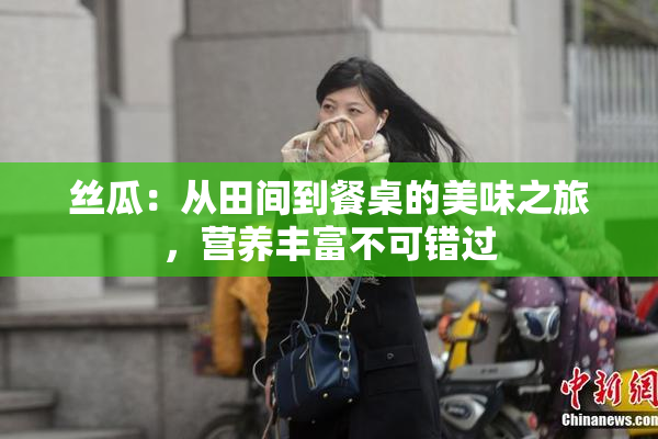 丝瓜：从田间到餐桌的美味之旅，营养丰富不可错过