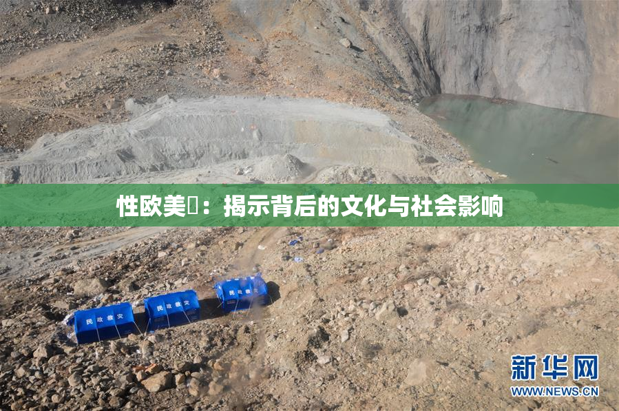 性欧美婬：揭示背后的文化与社会影响