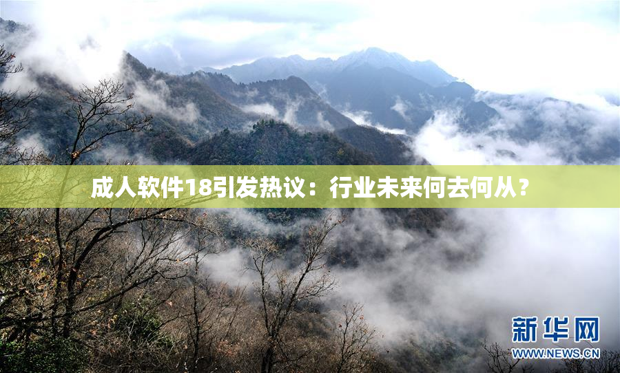 成人软件18引发热议：行业未来何去何从？