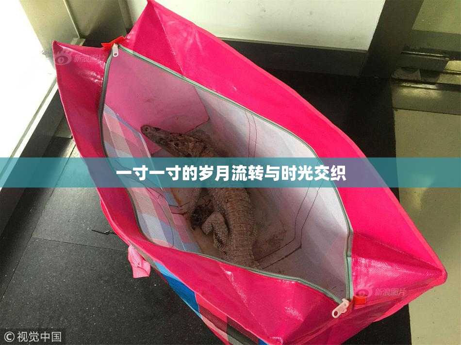 一寸一寸的岁月流转与时光交织