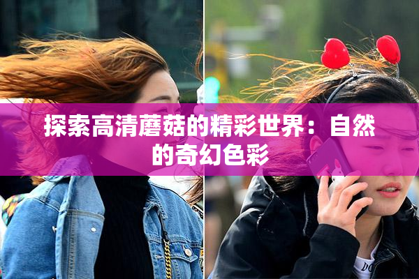 探索高清蘑菇的精彩世界：自然的奇幻色彩