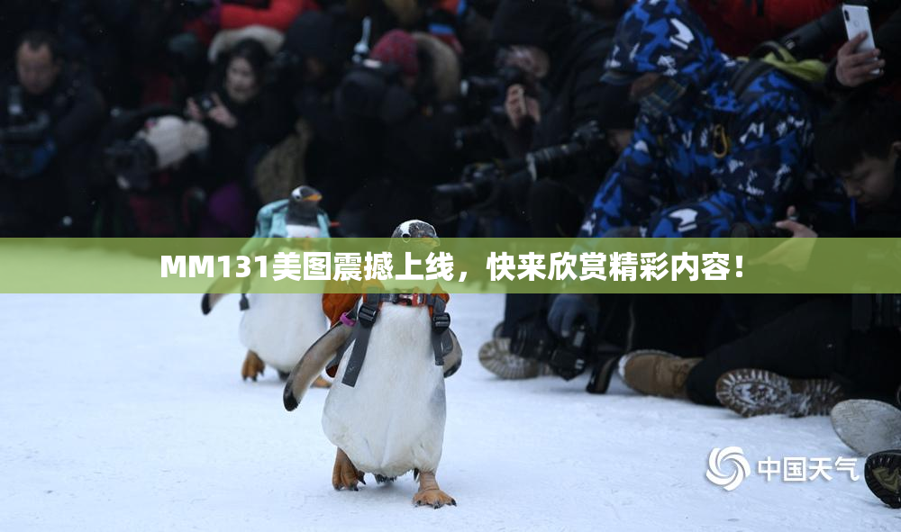 MM131美图震撼上线，快来欣赏精彩内容！