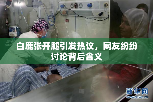 白鹿张开腿引发热议，网友纷纷讨论背后含义