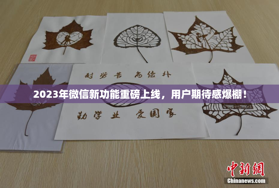 2023年微信新功能重磅上线，用户期待感爆棚！