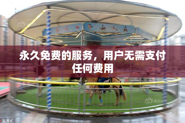 永久免费的服务，用户无需支付任何费用