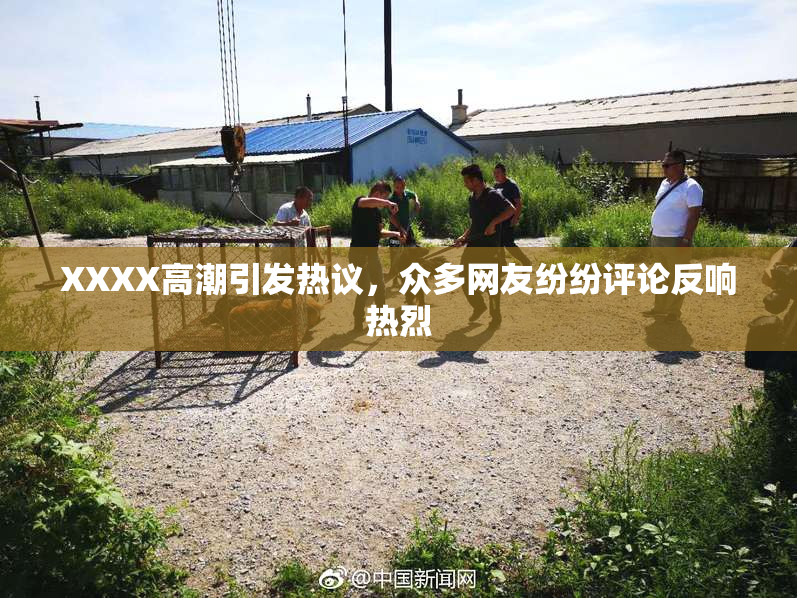 XXXX高潮引发热议，众多网友纷纷评论反响热烈