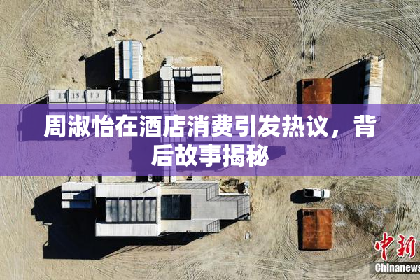 周淑怡在酒店消费引发热议，背后故事揭秘