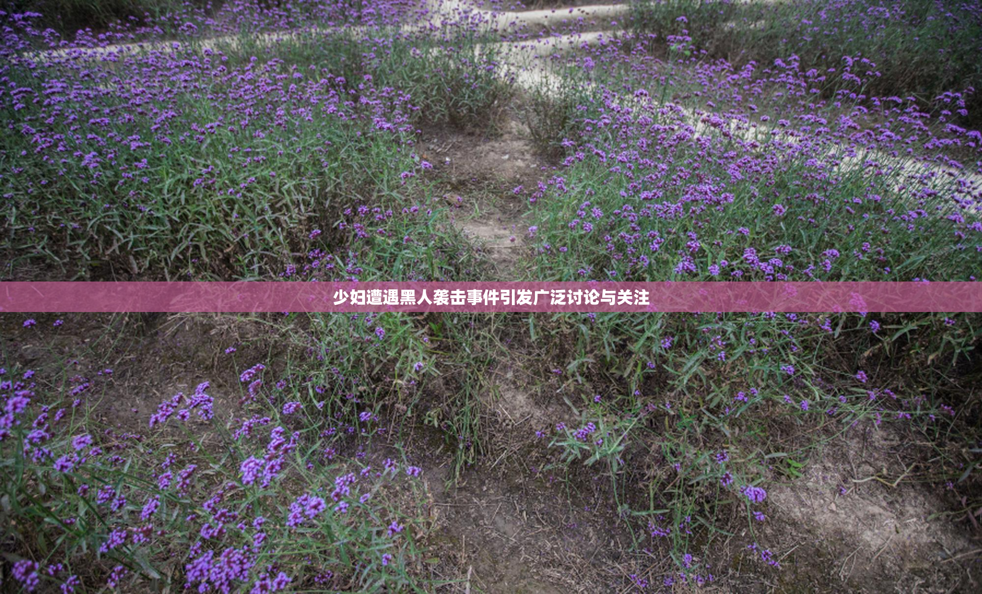 少妇遭遇黑人袭击事件引发广泛讨论与关注