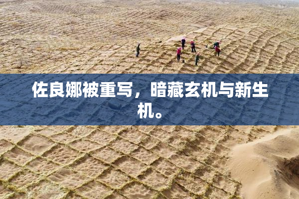 佐良娜被重写，暗藏玄机与新生机。