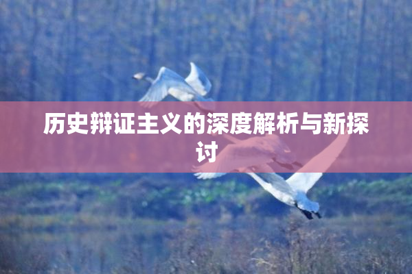 历史辩证主义的深度解析与新探讨