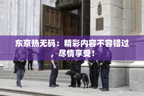 东京热无码：精彩内容不容错过，尽情享受！