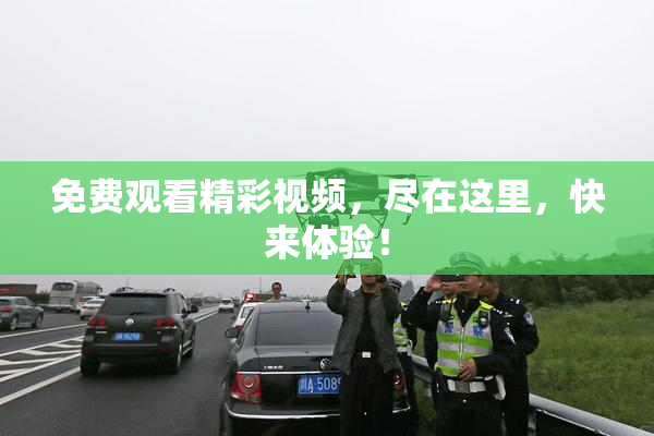免费观看精彩视频，尽在这里，快来体验！