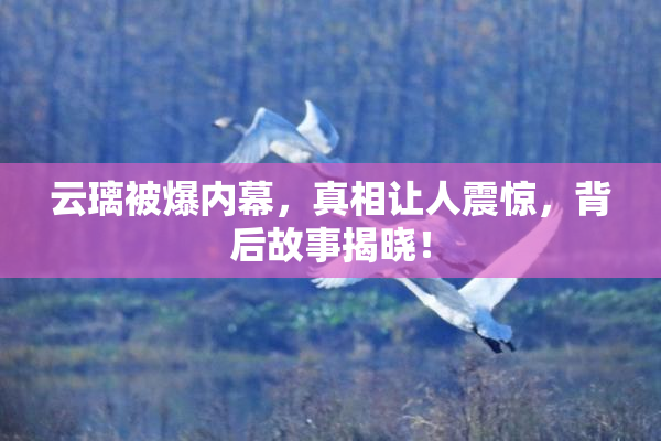 云璃被爆内幕，真相让人震惊，背后故事揭晓！
