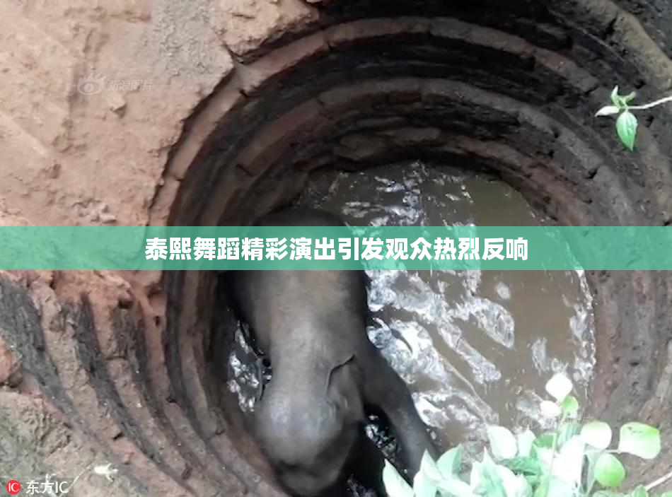 泰熙舞蹈精彩演出引发观众热烈反响