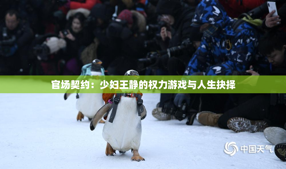 官场契约：少妇王静的权力游戏与人生抉择