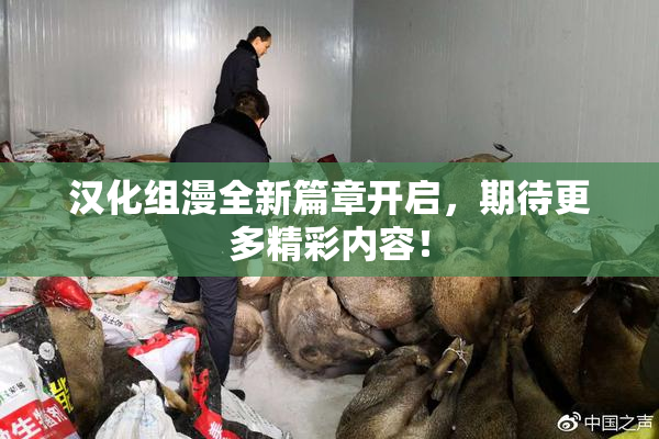 汉化组漫全新篇章开启，期待更多精彩内容！