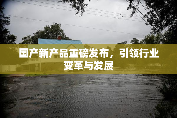 国产新产品重磅发布，引领行业变革与发展