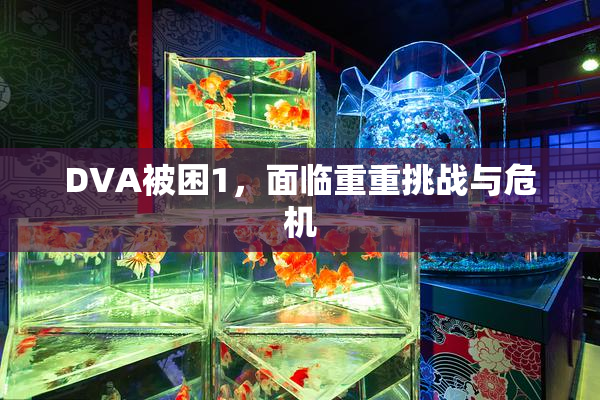 DVA被困1，面临重重挑战与危机