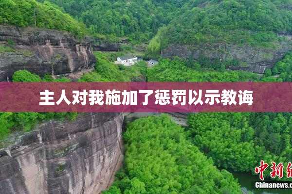 主人对我施加了惩罚以示教诲