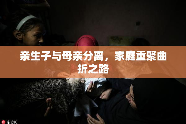 亲生子与母亲分离，家庭重聚曲折之路