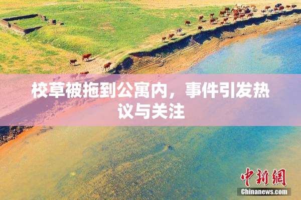 校草被拖到公寓内，事件引发热议与关注