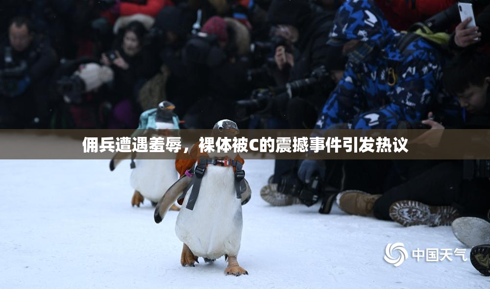 佣兵遭遇羞辱，裸体被C的震撼事件引发热议