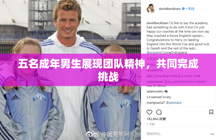 五名成年男生展现团队精神，共同完成挑战