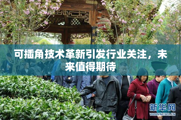 可插角技术革新引发行业关注，未来值得期待