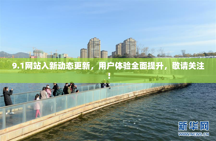 9.1网站入新动态更新，用户体验全面提升，敬请关注！
