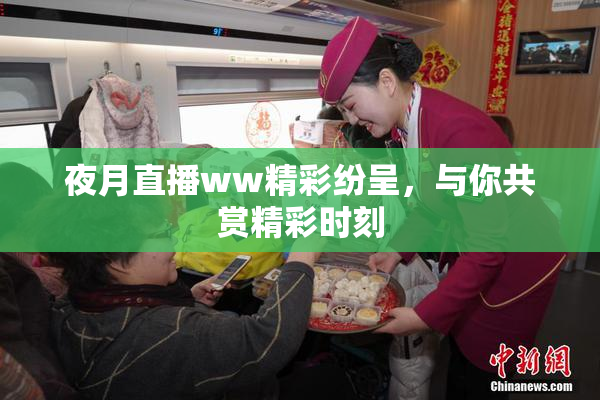 夜月直播ww精彩纷呈，与你共赏精彩时刻