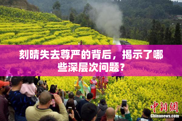 刻晴失去尊严的背后，揭示了哪些深层次问题？