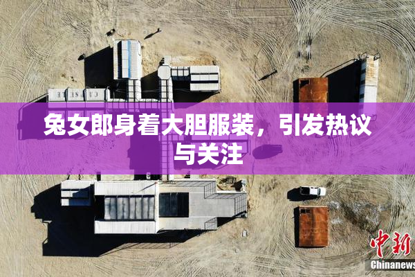 兔女郎身着大胆服装，引发热议与关注