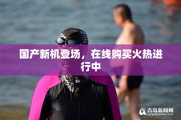 国产新机登场，在线购买火热进行中