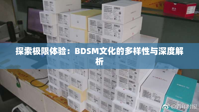 探索极限体验：BDSM文化的多样性与深度解析