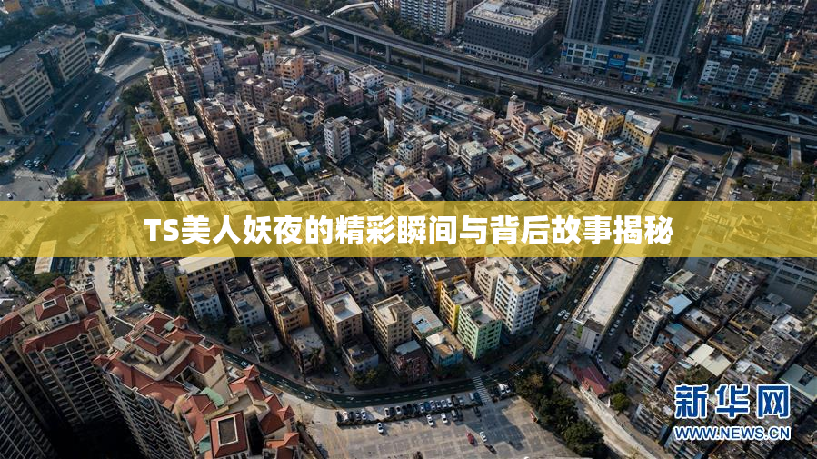 TS美人妖夜的精彩瞬间与背后故事揭秘