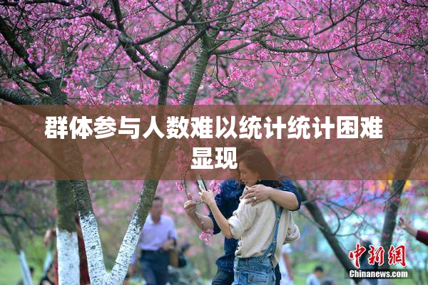 群体参与人数难以统计统计困难显现