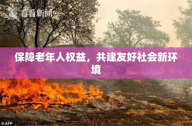 保障老年人权益，共建友好社会新环境