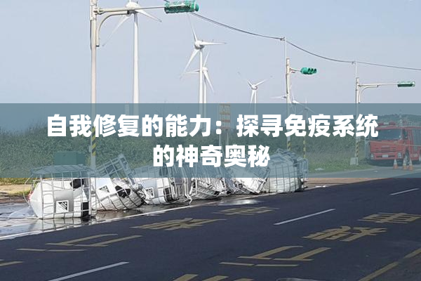 自我修复的能力：探寻免疫系统的神奇奥秘