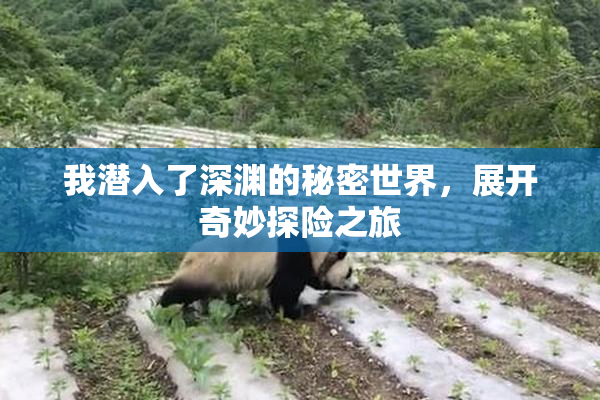 我潜入了深渊的秘密世界，展开奇妙探险之旅