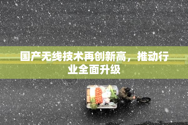 国产无线技术再创新高，推动行业全面升级