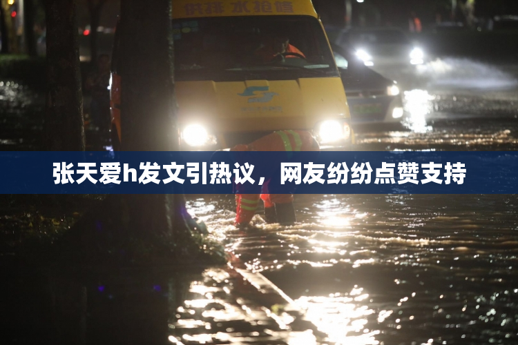 张天爱h发文引热议，网友纷纷点赞支持